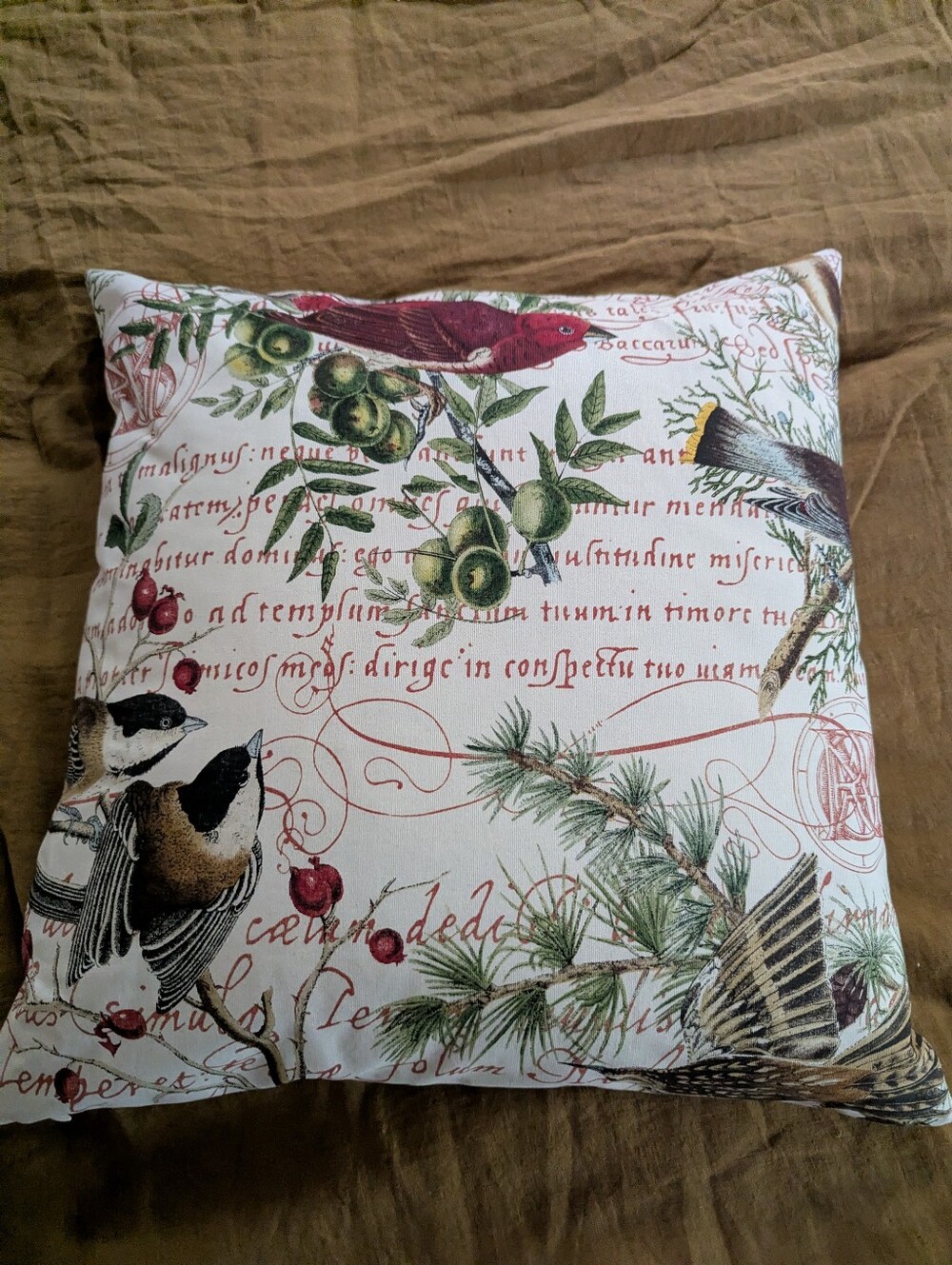 Winter birds by pottery Barn throw pillow cover with feather insert